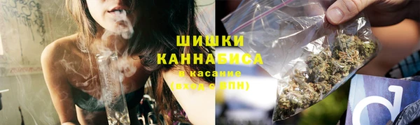 гашик Пересвет