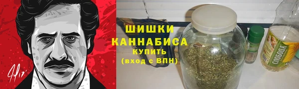 гашик Пересвет