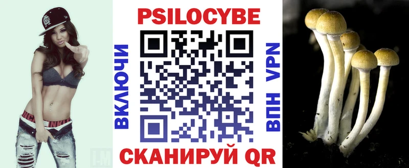 наркошоп  Гвардейск  Галлюциногенные грибы Psilocybe 